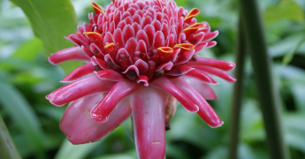 Météo à 3 mois : Prévisions saisonnières novembre-décembre 2025-janvier 2026