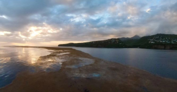 Sargasses : des échouements inhabituels sur la  côte Nord Caraïbe dans un contexte climatique préoccupant